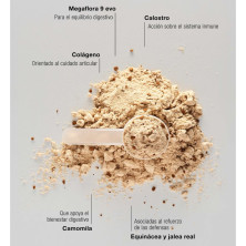 226ers Immune Whey Protein 700 g Chocolate elementos que lo componen